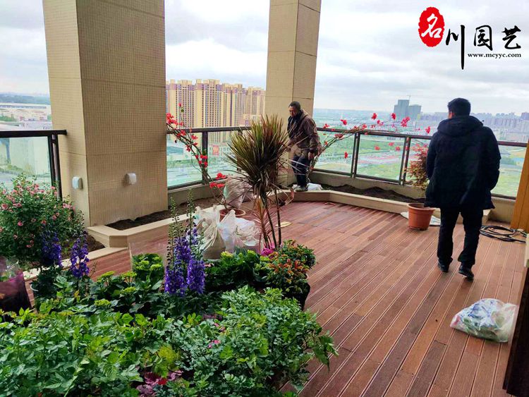 双流别墅绿化栽种