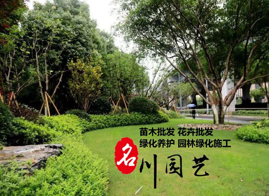 成都厂区绿化养护